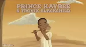 Prince Kaybee X Tronix Blackchild - Talking Flute (Original Mix)